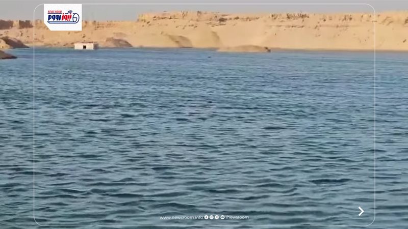 بحيرة المنيا