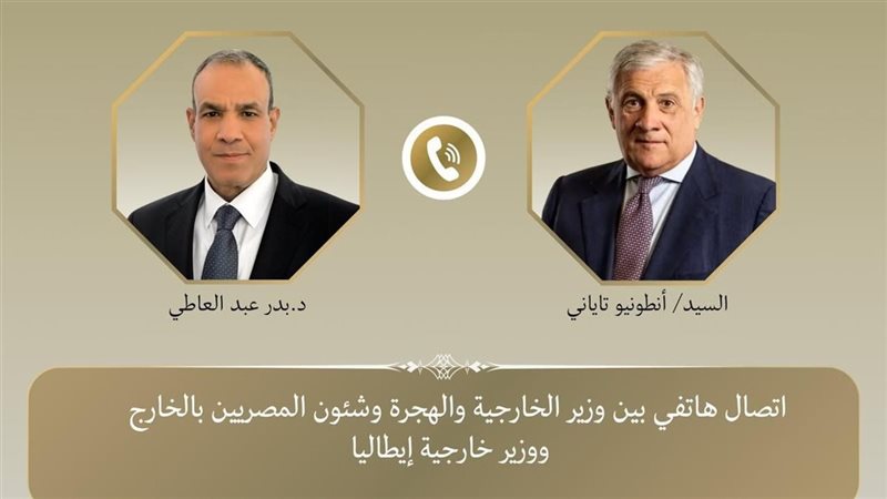 وزير الخارجية المصري