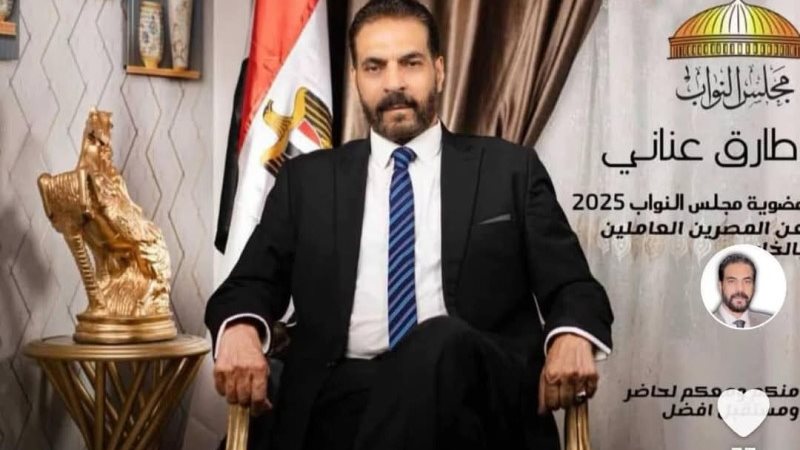 المهندس طارق عناني