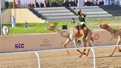 ريما الشويعي بطلة مهرجان ولي العهد للهجن 2025.. ما القصة؟