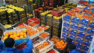 قفزة تاريخية في صادرات الصناعات الغذائية.. والغرفة تنظم تدريبًا لمعايير الجوده