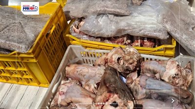 ضبط 119 كجم لحوم منتهية الصلاحية وطن من الدقيق المدعم في الفيوم