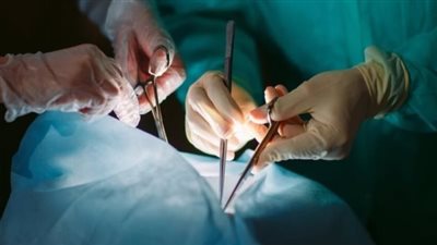 من الغرامة إلى الإعدام.. قانون زرع الأعضاء يواجه المخالفين بعقوبات غير مسبوقة