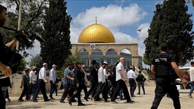 محمد أبو الغار يكشف حقائق تاريخية عن الوجود اليهودي بمصر وعلاقتهم بالمجتمع