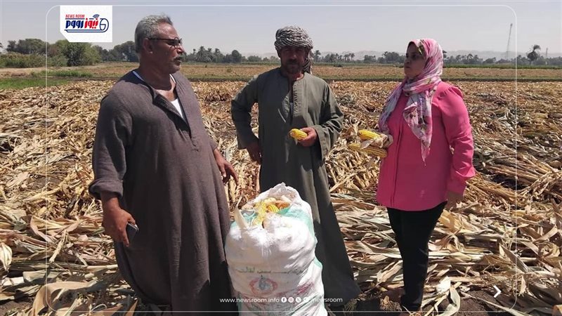 زراعة المنيا
