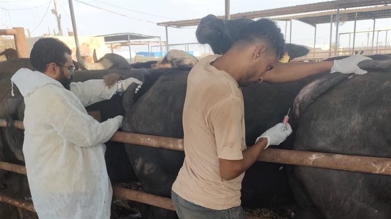 محافظ الإسماعيلية