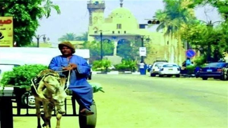أبو روشتة