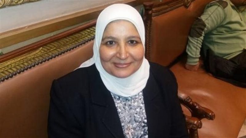النائبة هانم أبو