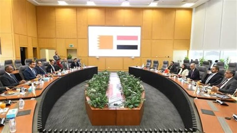 وزير الإسكان يستقبل