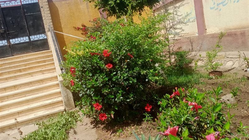 مدارس البحيرة تتجمل