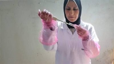 بيطري الشرقية: مسح تناسلي شامل لـ4224 رأس  ماشية وتلقيح 2360 رأس
