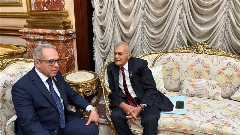 النائب الدكتور عصام