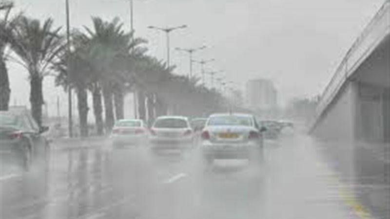 ارشفية