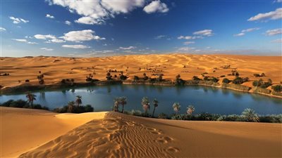 وائل زعير: واحة سيوة تفتح آفاقًا جديدة للسياحة الشتوية والعلاجية