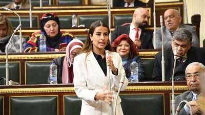 خارجية النواب: الاصطفاف خلف القيادة السياسية ضرورة وطنية في ظل منطقة مضطربة