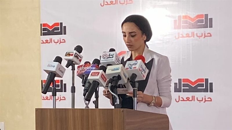 الدكتورة دينا أبو