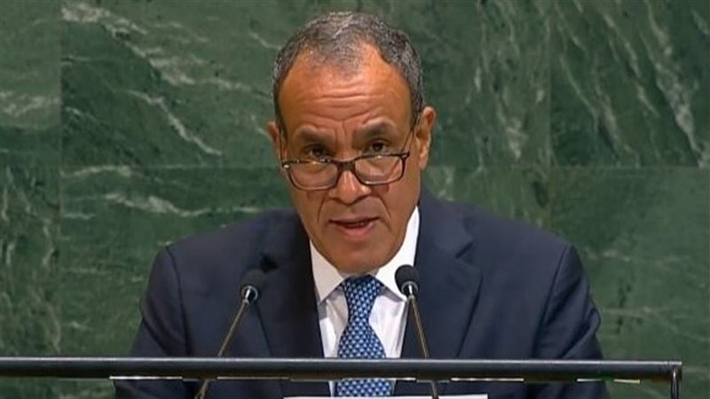 وزير الخارجية أمام