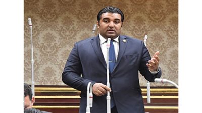 برلماني: فوز مصر بعضوية مجلس حقوق الإنسان  يضاف لسجل إنجازات الدولة مؤخرًا