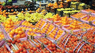الإحصاء: صادرات مصر الزراعية تتجاوز 1.8 مليار دولار خلال 7 أشهر بزيادة 6.1%