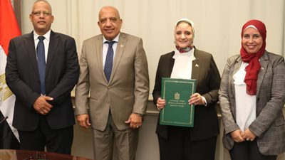«عصمت»: توجه استراتيجي بدعم وتعزيز مشروعات الربط الكهربائي والتكامل 