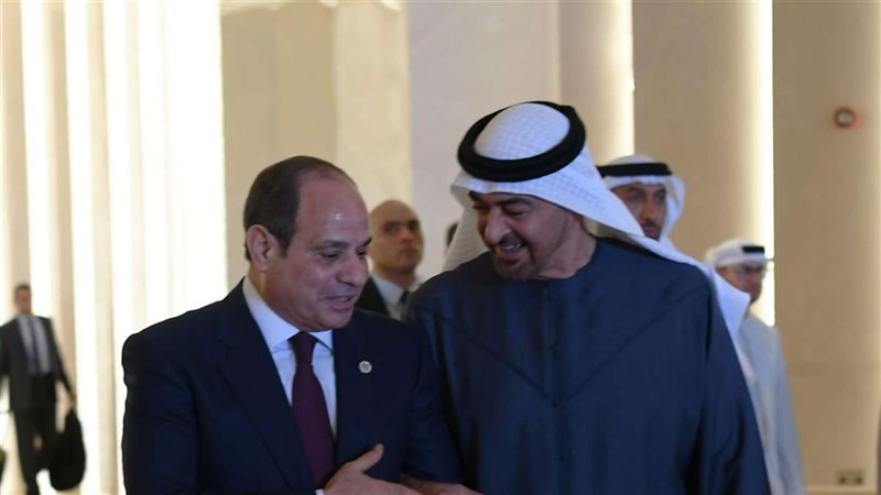 السيسي ونظيره الإماراتي