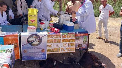 عالجت 841 حالة.. قناة السويس و