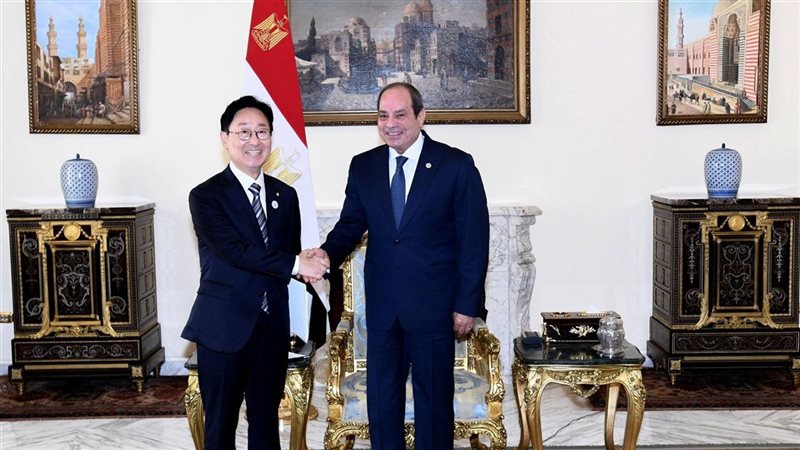الرئيس عبدالفتاح