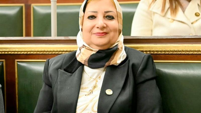 النائبة نسرين صلاح