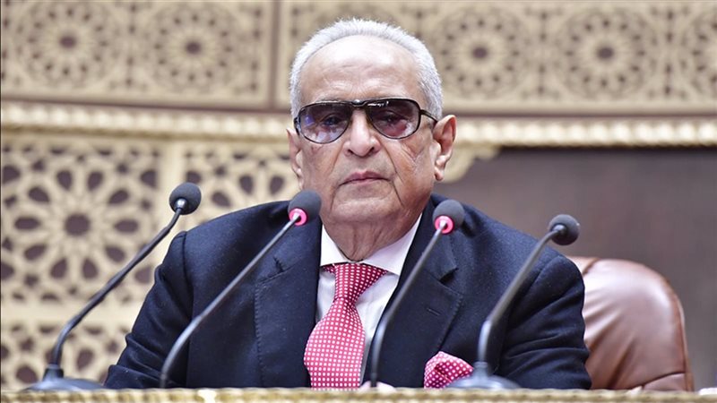 المستشار بهاء أبو