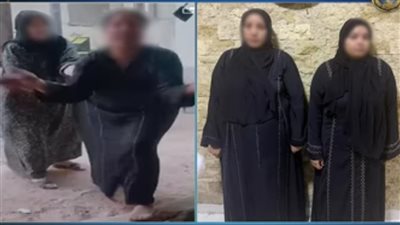 فيديو 