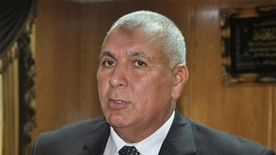 الزملوط: تنفيذ القرار الرئاسي يشمل تطوير الطرق وربط الوادي الجديد بالصعيد 