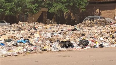 سكان شارع الترعة بالمحلة الكبرى يستغيثون: القمامة تحاصرنا وتهددنا بالأمراض