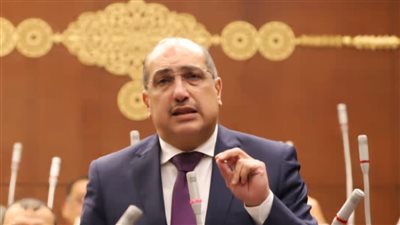 وهبة: تعديل قانون نقابة المهن الرياضية يكرس ولاية الدولة 