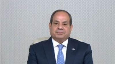 السيسي: الإدارة الذكية للمياه ضرورة وطنية وتعاون المجتمع الدولي