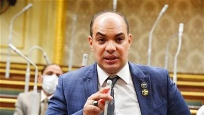 استقالة 5 نواب بعد تعيينهم في مجلس الشيوخ.. اعرف التفاصيل