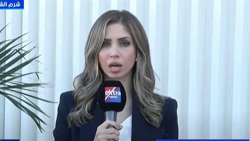 الإعلامية إنجي طاهر