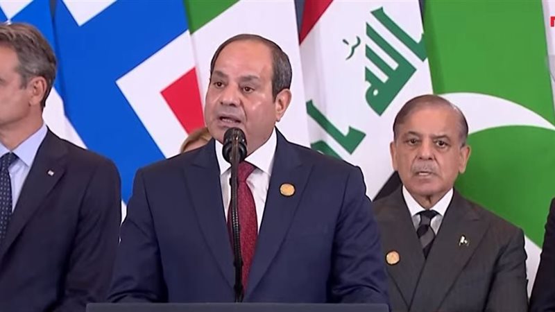  الرئيس السيسي