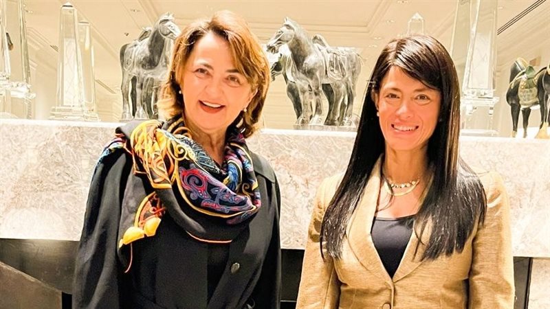 وزيرة التخطيط