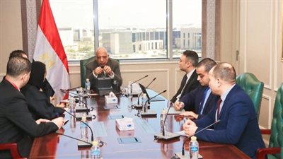  عصمت: مشروعات الربط الكهربائي أحد محاور العمل لتحقيق المنفعة المشتركة
