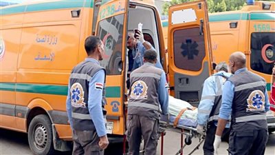 وفاة سائحة كندية إثرهبوط حاد في الدورة الدموية على متن فندق عائم بالأقصر