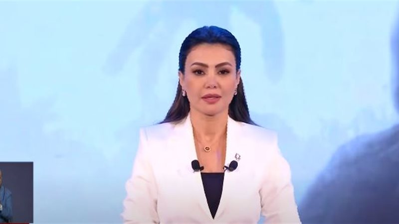 الفنانة دينا فؤاد