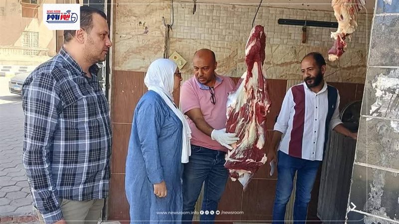 تموين المنيا