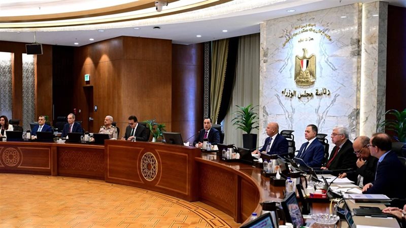 الحكومة المصرية 