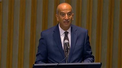 مندوب مصر بالأمم المتحدة: نعيش في عالم شحيح الموارد ويجب إصلاح مجلس الأمن