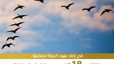 البيئة تزيل 18 ألف متر من الشباك المخالفة لحماية الطيور المهاجرة