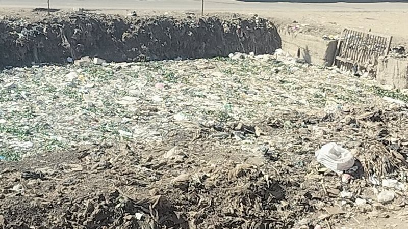 جانب من الترعة