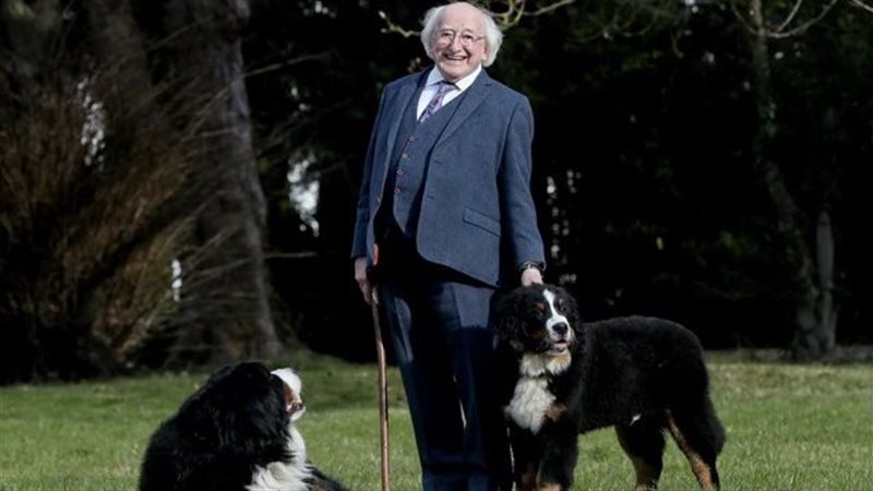 مايكل دي هيغينز