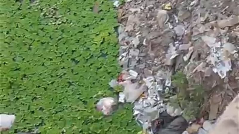 صورة القمامه