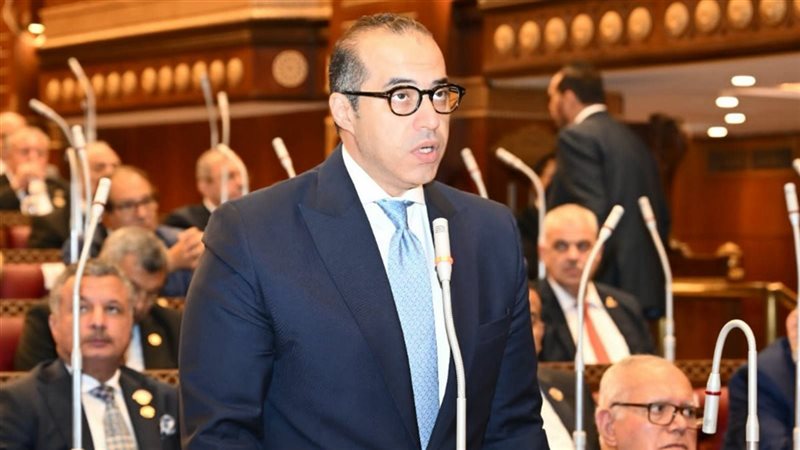 محمود فوزي