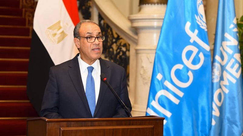 بدر عبد العاطي وزير